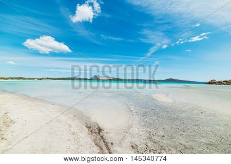 a blue sky over Cala Brandinchi Sardinia