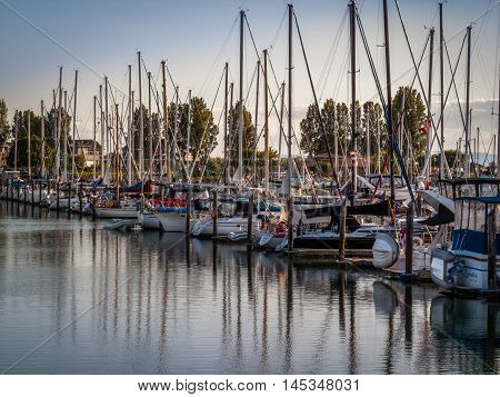 Point Roberts Washington State USA - June 28 2009 : crowded sail boats and yachts in row anchored in marina of Point Roberts Washington State USA