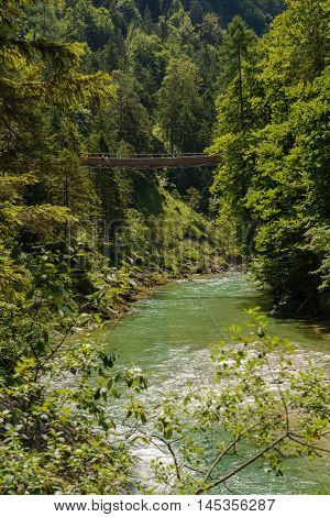 Mountain river Salza and suspension bridge in the gorge - Palfau Austria