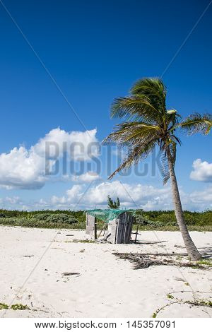 Beach with Palms at Playe del Carmen Mexico Yucatan