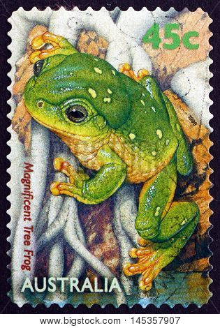 AUSTRALIA - CIRCA 1999: a stamp printed in the Australia shows Magnificent Tree Frog Litoria Splendida Amphibian circa 1999