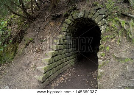 A dark tunnel in a woodland in Fife
