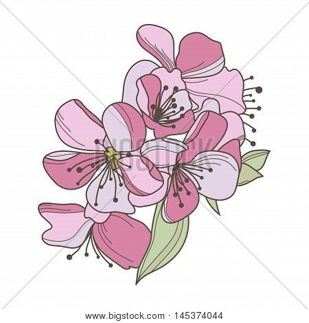 Floral Decoration