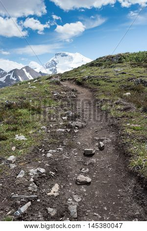 Trail Through The Tundra On Wilcox Pass