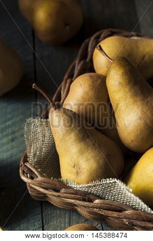 Raw Organic Green And Brown Bosc Pears