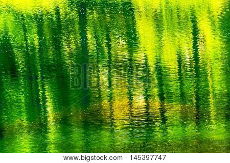 Yellow Green Summer Colors Water Reflection Abstract Wenatchee River Leavenworth Washington
