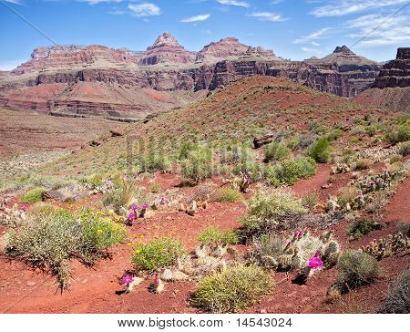Tonto Osten trail