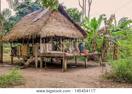 Local Traditional House In Sucumbios Province Cuyabeno Wildlife Reserve Ecuador