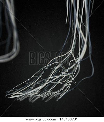 Foot arteries and lymphatic system, human anatomy. 3d illustration.