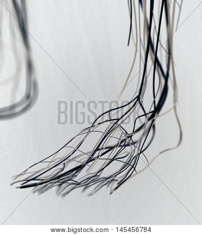 Foot arteries and lymphatic system, human anatomy. 3d illustration.