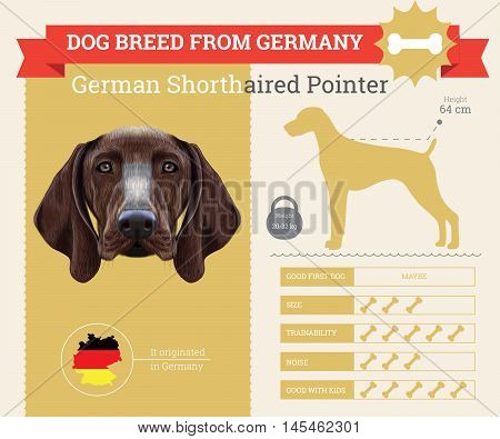 German Shorthaired Pointer dog breed vector infographics. This dog breed from German