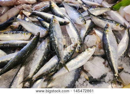 Assortment Of Fresh Sardines