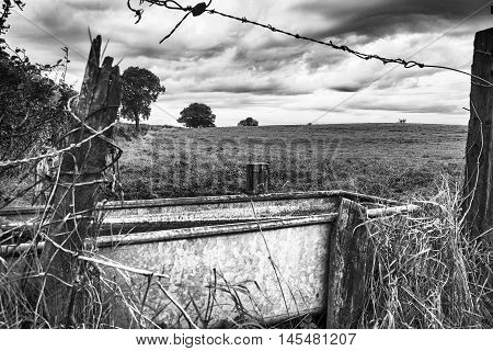 Trough of water by barbed wire and cloudy sky