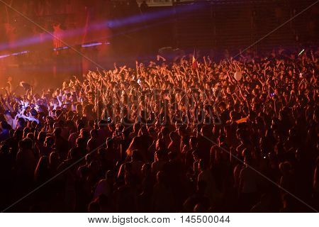 Crowd In A Stadium At A Concert