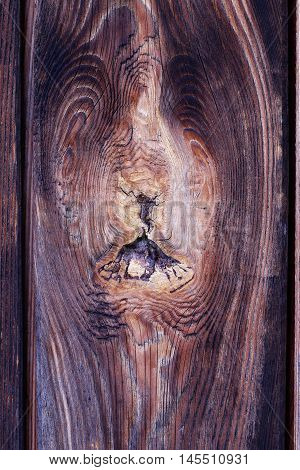Detail of the knot in wood - rough wooden texture