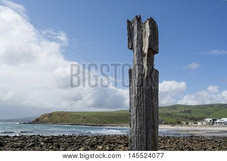 Single Pylon Pillar Post, Jetty Ruins, Myponga Beach, South Australia