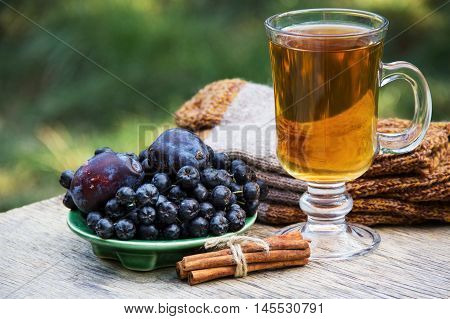 Warming tea with cinnamon, plum and black Rowan. Autumn concept. Autumn harvest. Knitted things.