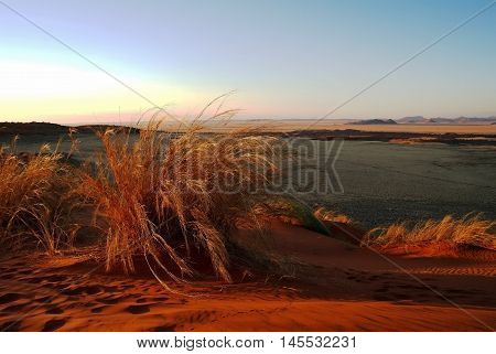Sunset in the Namib desert. national park Namib-Naukluft Namibia