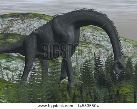 Brachiosaurus dinosaur eating fern on the ground - 3D render
