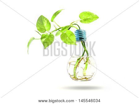 Light Bulb with tree inside isolated with clipping path.