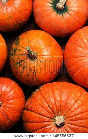 Autumn wood background with pumpkins over wooden table with copyspace. Fall background wall paper poster