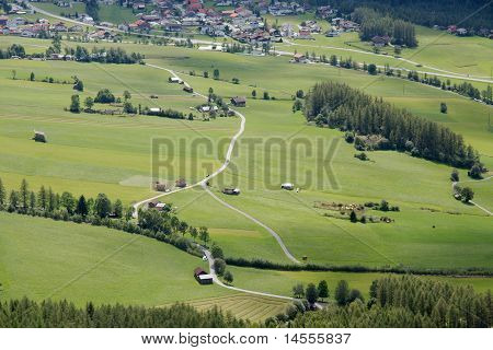 Campi