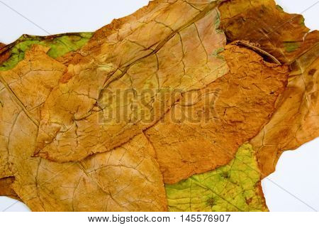 picture of a dry leaf tobacco closeup