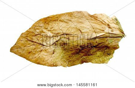 picture of a dry leaf tobacco closeup