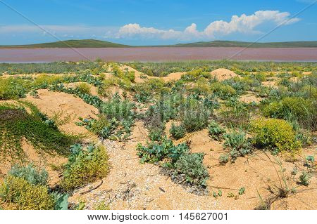 Salt Lake Koyashskoe Elkenskoe. Opuksky Reserve is located on the southern coast of Kerch Peninsula.
