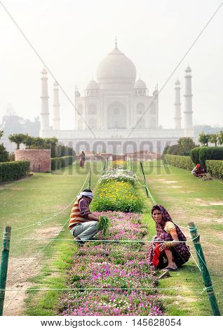 Workers In The Garden Of Taj Mahal