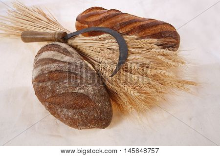 bunch of mown wheat ears with vintage handmade reaper hook sickle and rye and white dark french fresh bread loaf on light linen tablecloth