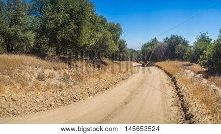 Bend In Dirt Road