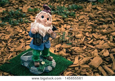 Cute garden dwarf standing on a rock