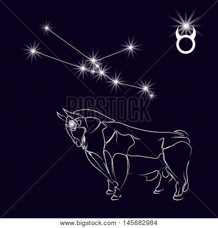Constellation Taurus. Realistic star. White bull, zodiac sign. Tattoo. Made with a predominance of white on a dark background. Vector illustration