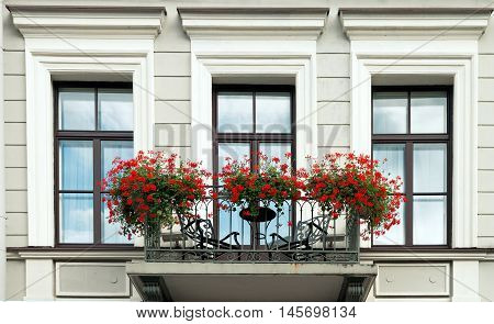 Windows with balcony in St. Petersburg and flower decoration