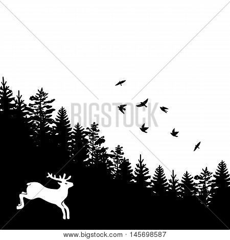 Woodland background with black silhouettes of fir trees and pines with birds