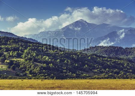 Scenic morning landscape with ripe cultivated field and majestic Bucegi massif at the horizon in Transylvania region Romania.