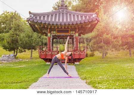 Young Woman Practicing Yoga In The Park.