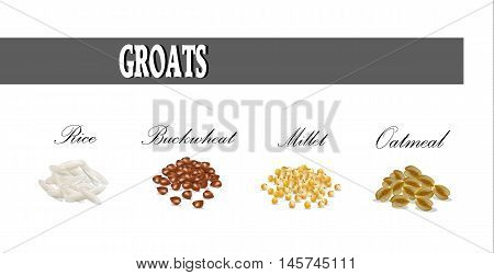 Groats set vector illustration. Millet buckwheat rice oatmeal