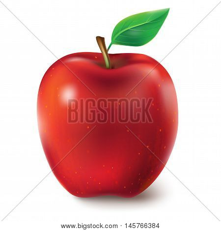 Vector illustration of a juicy red apple with leaf