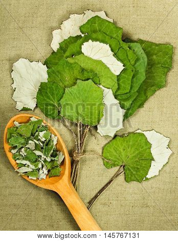 Coltsfoot foalfoot. Dried herbs for use in alternative medicine spa herbal cosmetics herbal medicine preparing infusions decoctions tinctures powders ointments butter tea bath.