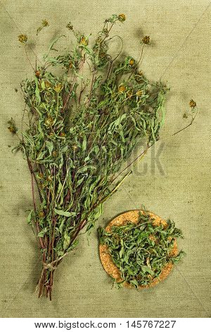 Bur marigold. Dried herbs for use in alternative medicine spa herbal cosmetics herbal medicine preparing infusions decoctions tinctures powders ointments butter tea bath.