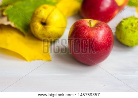 Autumn background-apples and pears on golden leaves