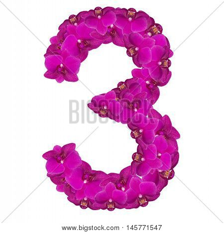 Alphabet number three from orchid flowers isolated on white