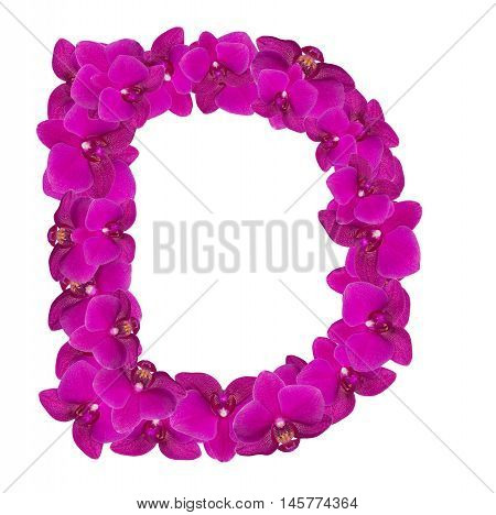Letters made of pink flowers. D letter - flower alphabet