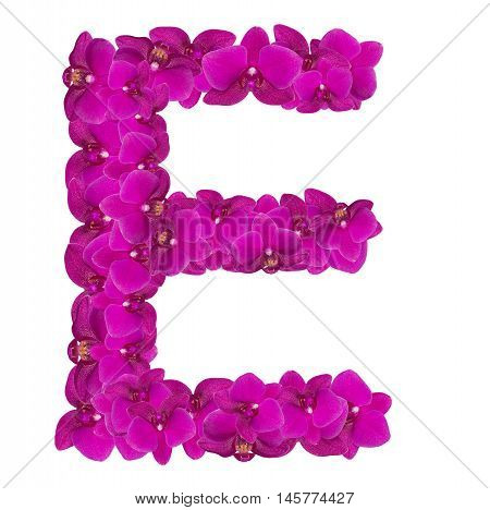 Letters made of pink flowers. E letter - flower alphabet