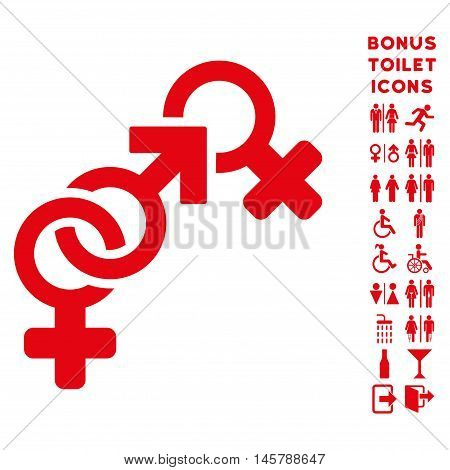 Faith Breach icon and bonus man and female toilet symbols. Vector illustration style is flat iconic symbols, red color, white background.