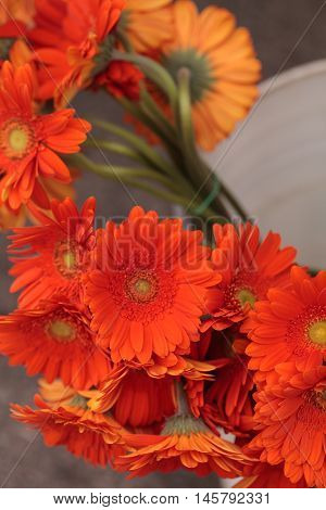 Orange Gerbera jamesonii daisy flower bouquet at a farmers market in summer