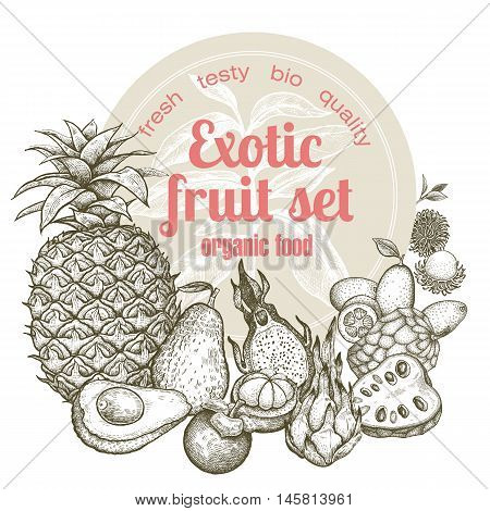 Exotic fruit pineapple, dragonfruit, rambutan, kumquat, mangosteen, cherimoya, avocado. Illustration vector image isolated on white background. Style vintage engraving. Black and white.