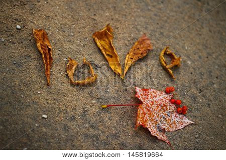 Word love laid out by autumn leaves on the pavement